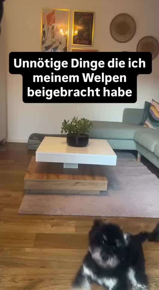 aktuelles Foto Gruppe Trickkiste