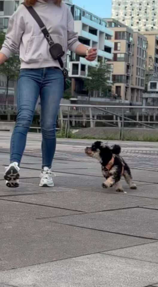 aktuelles Foto Gruppe Trickkiste
