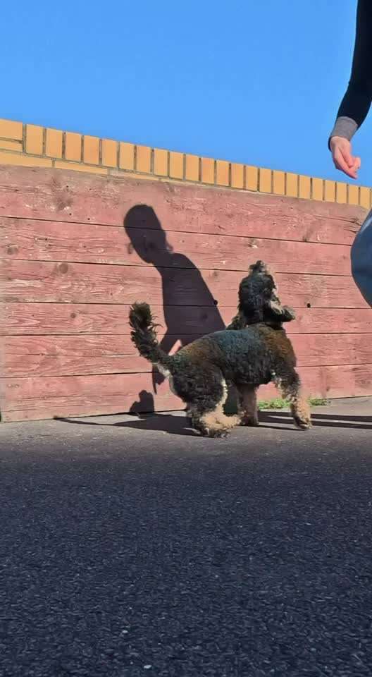 aktuelles Foto Gruppe Trickkiste