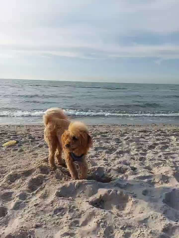 Ratespaß geht weiter-Beitrag-Bild