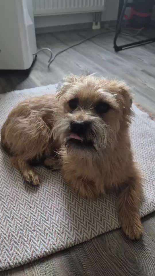 Leichtes Zittern nach Prolaktin Hemmer-Beitrag-Bild