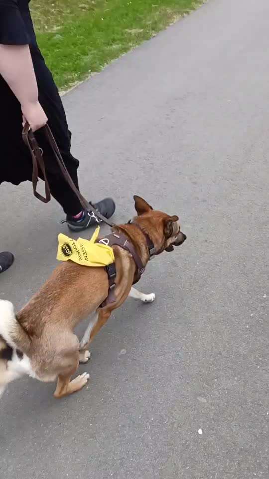 Gangbild/-analyse-Beitrag-Bild