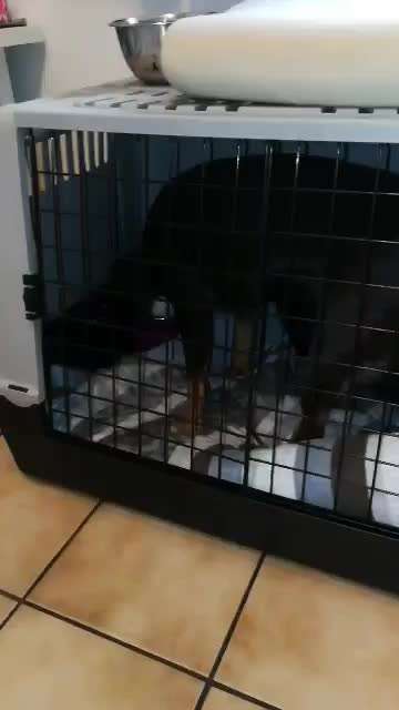 Hier ist der Spaßthread. Zum Schmunzeln und Kaputtlachen-Beitrag-Bild