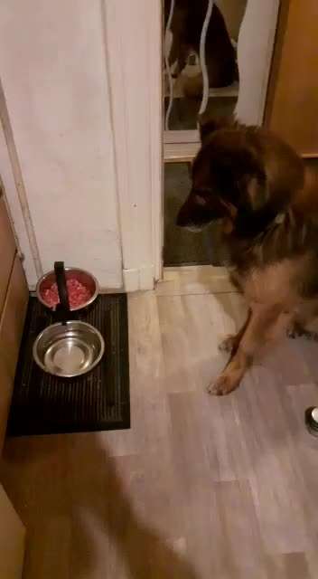 Trick Challenge ABC-Beitrag-Bild