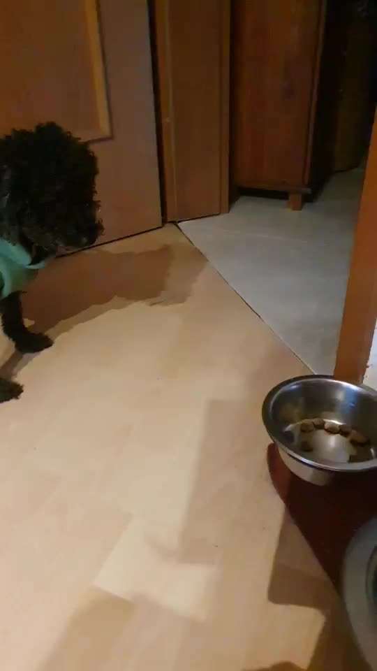 Trick Challenge ABC-Beitrag-Bild