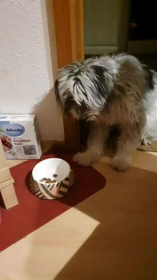 Trick Challenge ABC-Beitrag-Bild