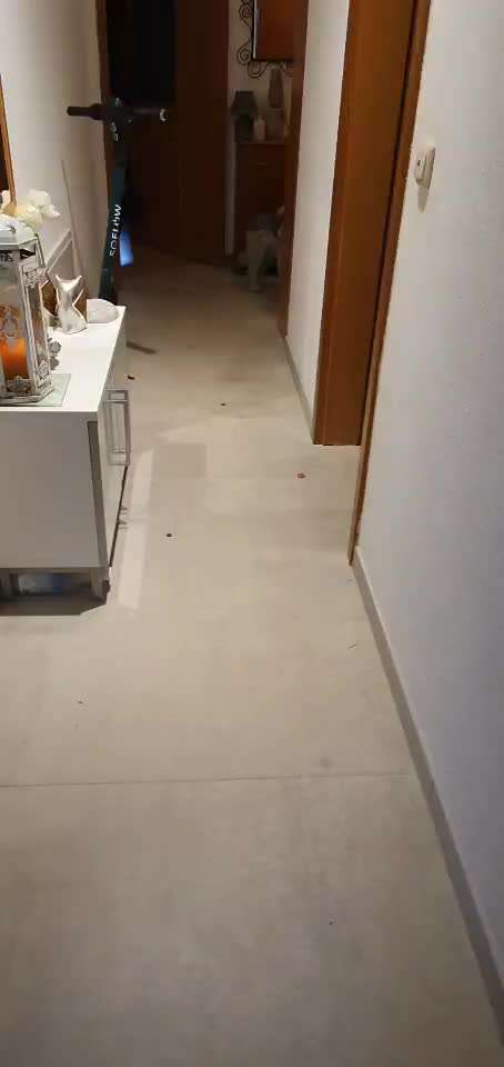 Impulskontrolle-Challenge Nr. 2: Vorbei laufen-Beitrag-Bild