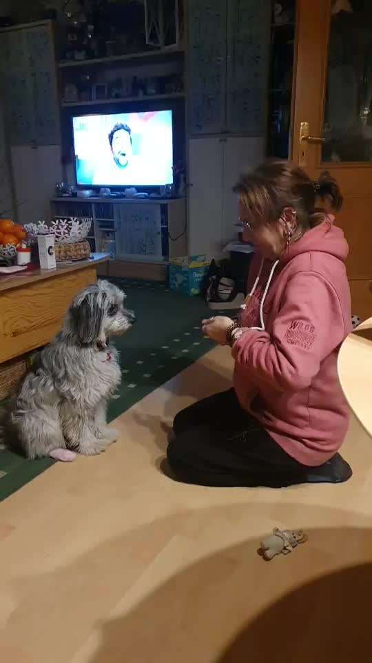 Trick Challenge ABC-Beitrag-Bild