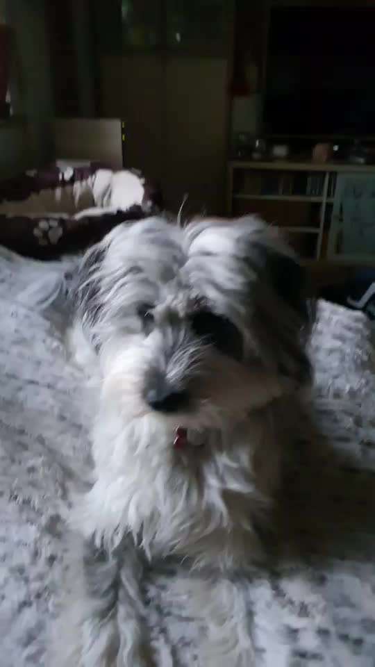 Trick Challenge ABC-Beitrag-Bild