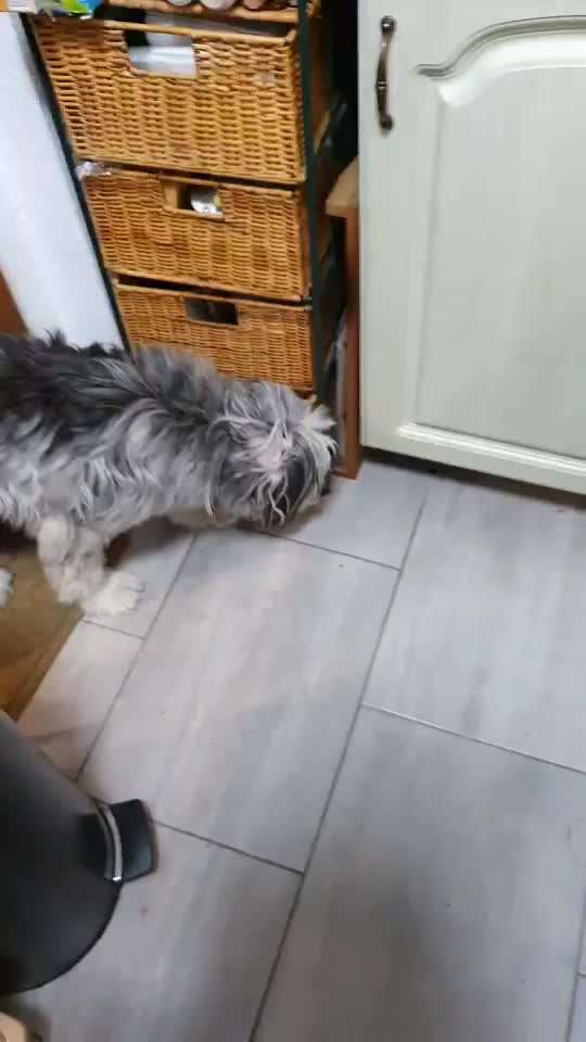 Trick Challenge ABC-Beitrag-Bild