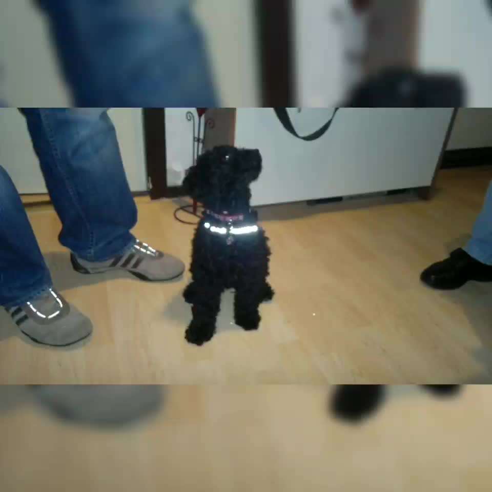 8. Kurzgeschichten Challenge 
Wie ich groß geworden bin-Beitrag-Bild