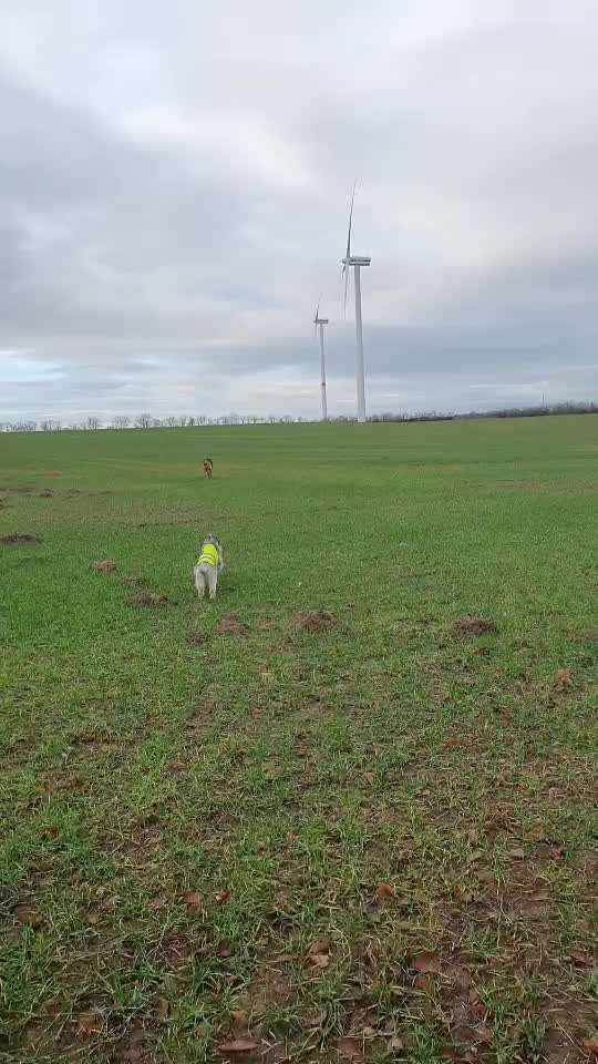 Handyvideochallenge Nr. 26 Gross und Klein-Beitrag-Bild