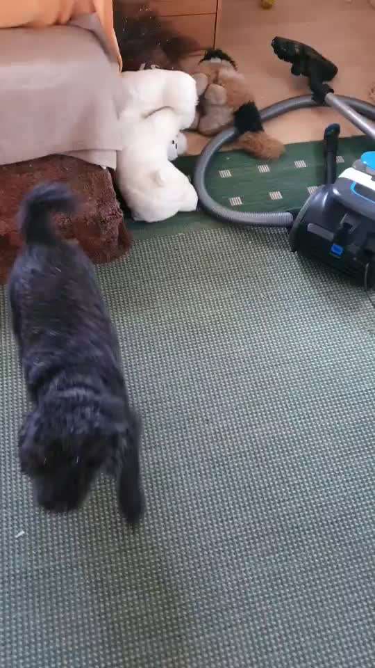 Trick Challenge ABC-Beitrag-Bild