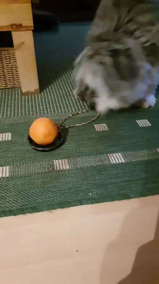 Trick Challenge NR 22 "Ziehen"-Beitrag-Bild