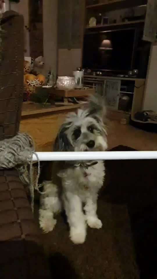 Trick Challenge Nr. 18-Beitrag-Bild