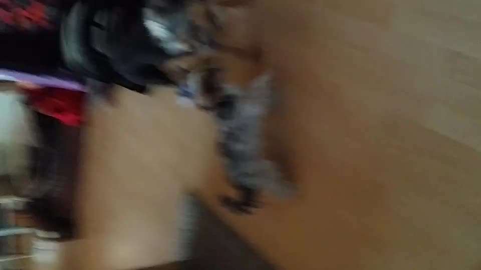 Handyvideochallenge Nr. 26 Gross und Klein-Beitrag-Bild