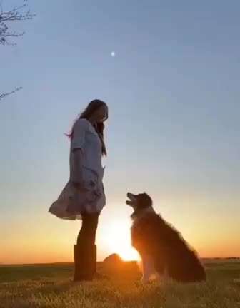 Hier ist der Spaßthread. Zum Schmunzeln und Kaputtlachen-Beitrag-Bild