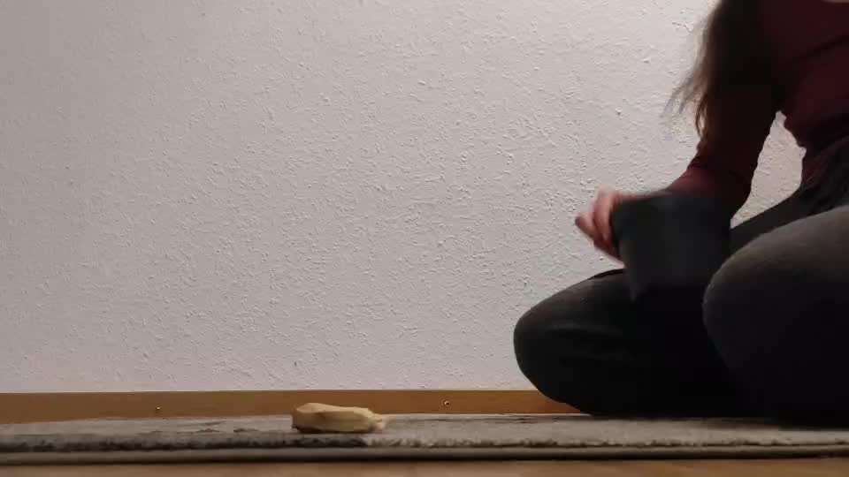 43.Gemeinsames Tricktraining: Becher stapeln-Beitrag-Bild