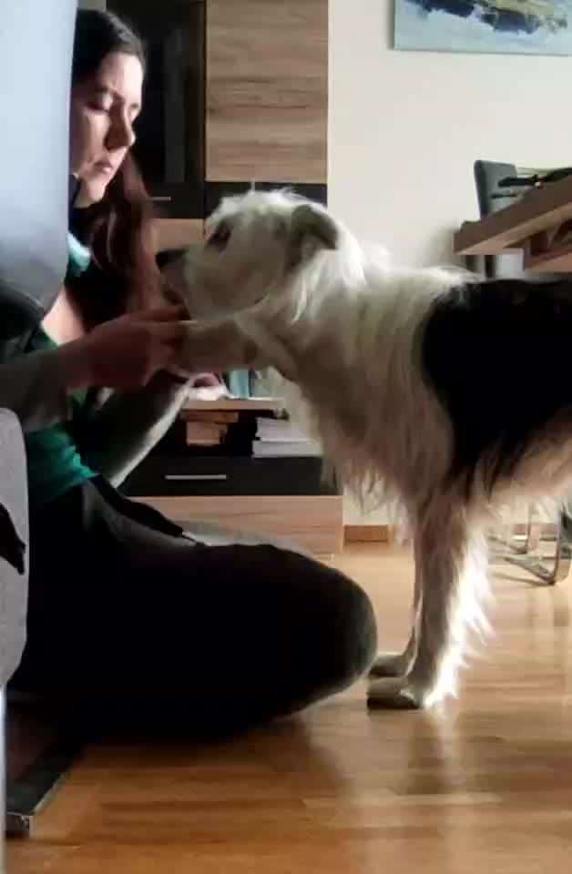 Trick Challenge ABC-Beitrag-Bild