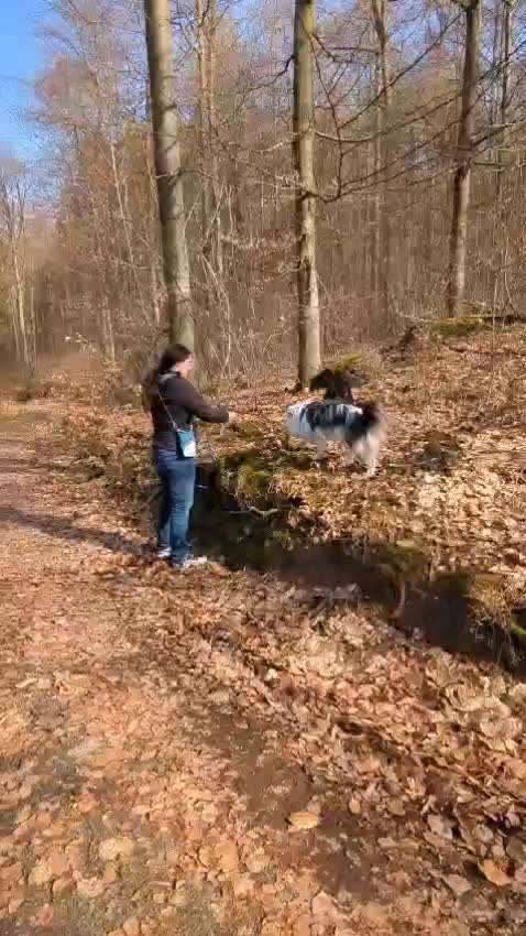 30. Impulskontrollübung: Ich trag dich auf Händen-Beitrag-Bild