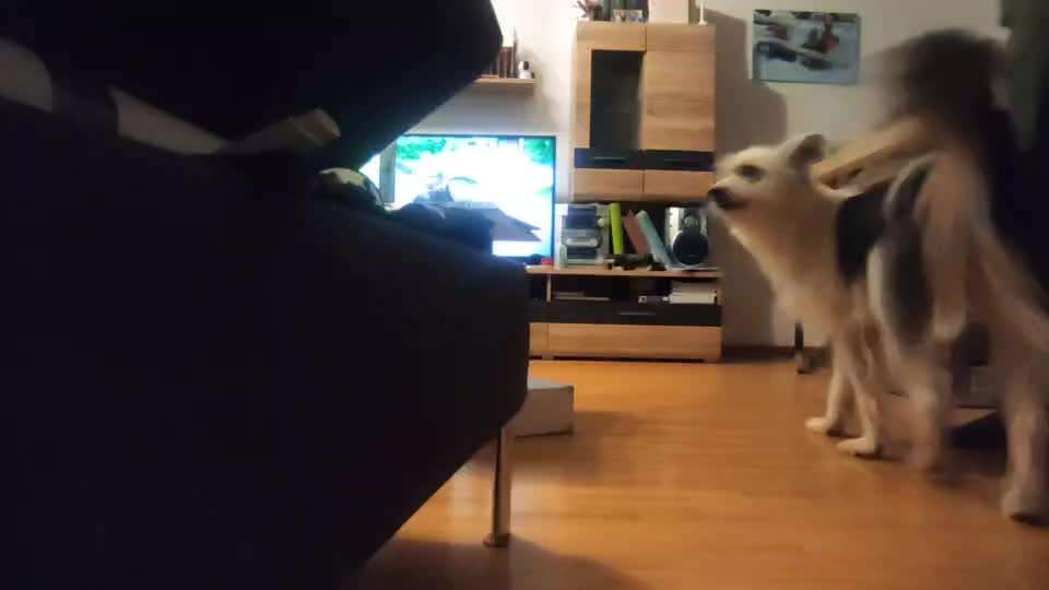 Trickchallenge - ich packe meinen 6. Koffer-Beitrag-Bild