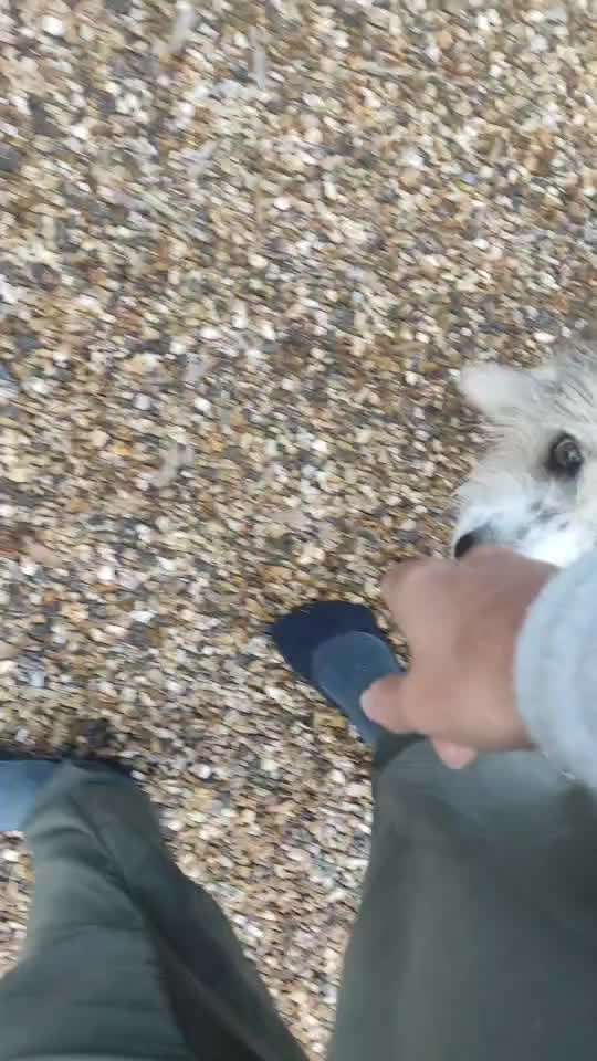 Trickchallenge - ich packe meinen 4. Koffer-Beitrag-Bild