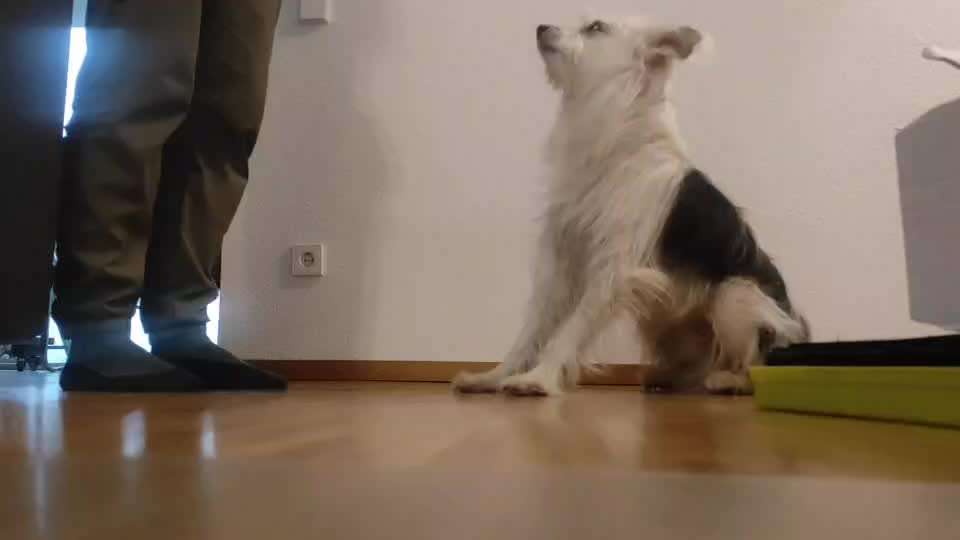 Trick Spiel - ich packe meinen 8. Koffer-Beitrag-Bild