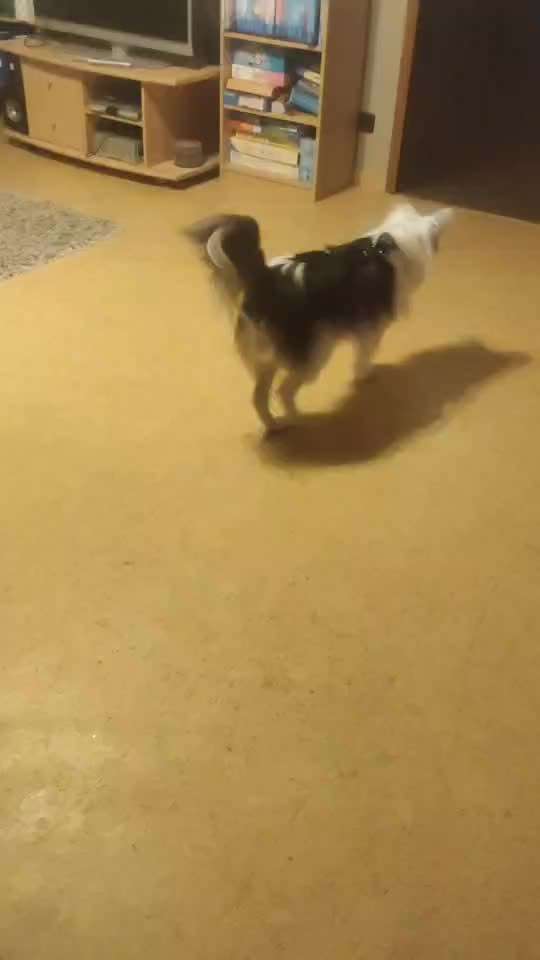 Was hat euch heute gefreut?-Beitrag-Bild