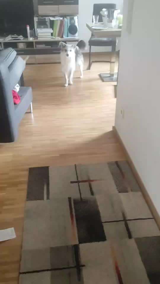 Stopp-Signal aufbauen klappt nicht-Beitrag-Bild