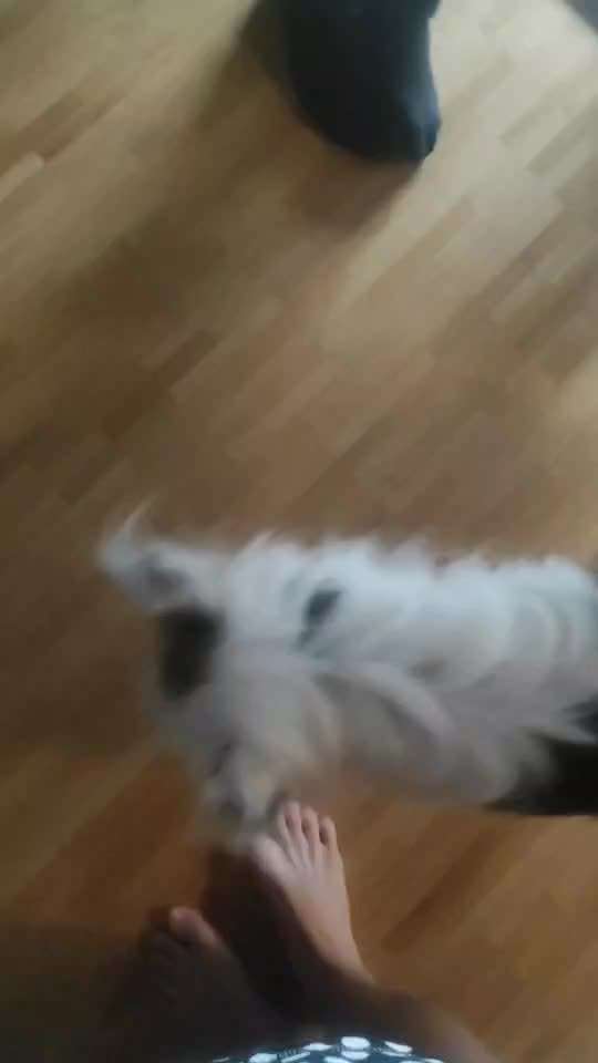 36. Trick-Challenge: Aufräumen!-Beitrag-Bild