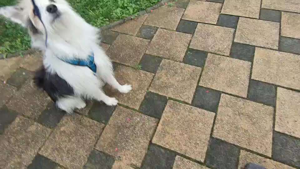 Gangbild/-analyse-Beitrag-Bild