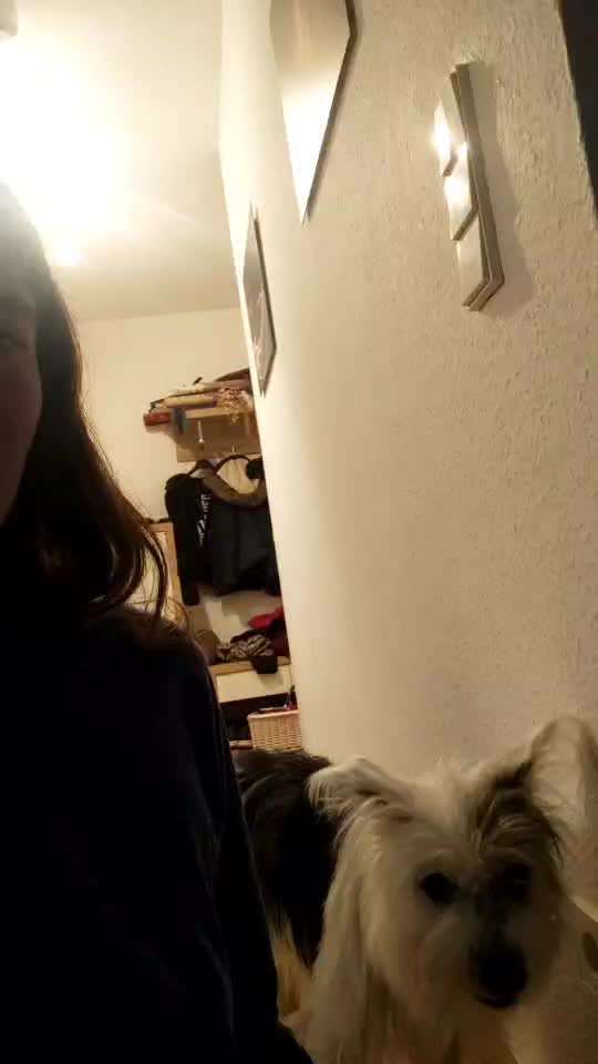 Trick Challenge Nr. 20   "Selfietrick"-Beitrag-Bild