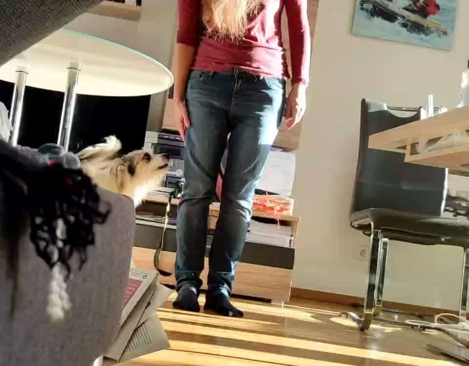 Trick Challenge ABC-Beitrag-Bild