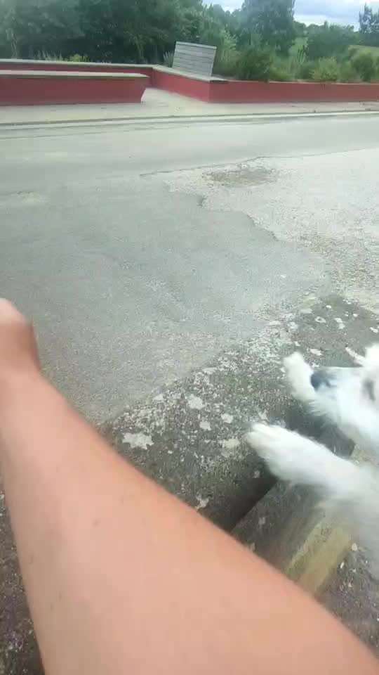 Trick Challenge Nr. 12-Beitrag-Bild