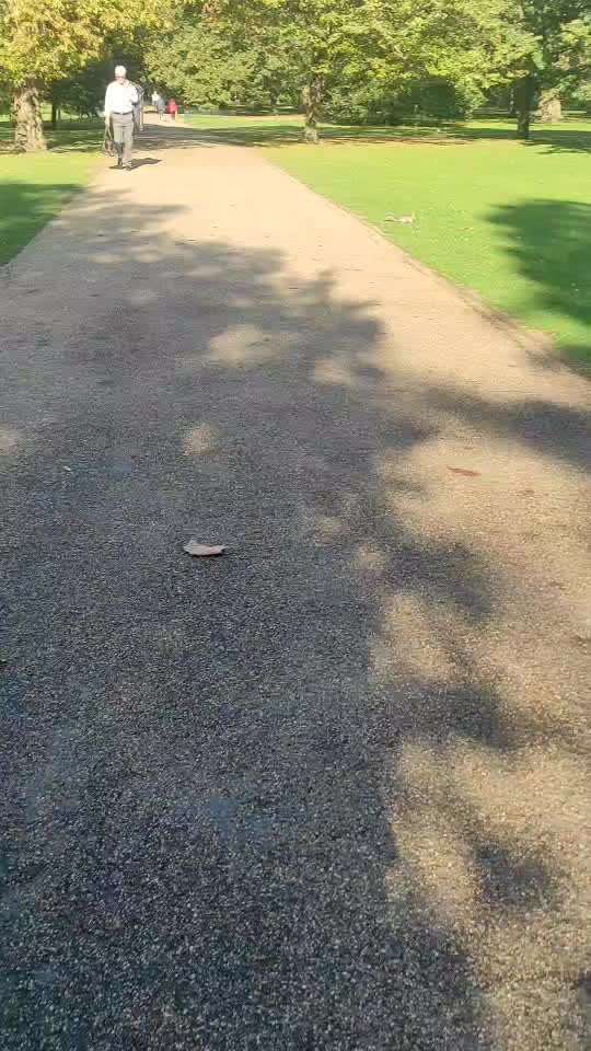 TierschutzhundeStammtisch🐕-Beitrag-Bild