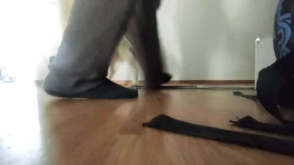 Trick Challenge Nr. 28: Slalom rückwärts-Beitrag-Bild