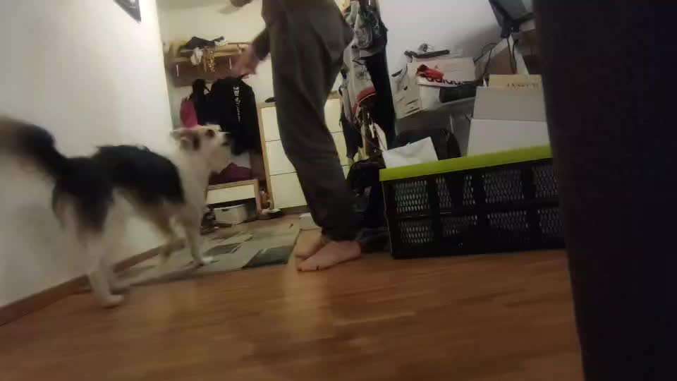 Trickchallenge - ich packe meinen 6. Koffer-Beitrag-Bild