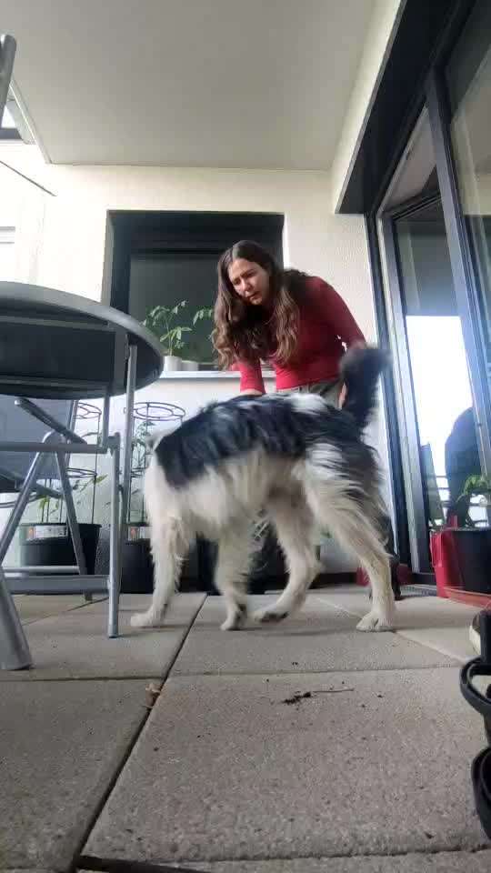 FUN AUFGABEN TOUR-Beitrag-Bild