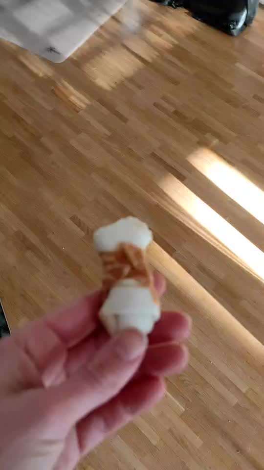 Impulskontrolle Challenge NR .4.           STOP/STEH/ WARTE-Beitrag-Bild