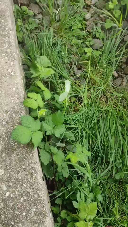 Trick Spiel - Koffer packen - der 17.-Beitrag-Bild