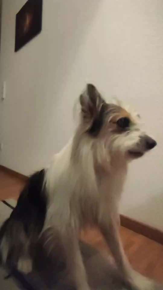 Trick Challenge ABC-Beitrag-Bild