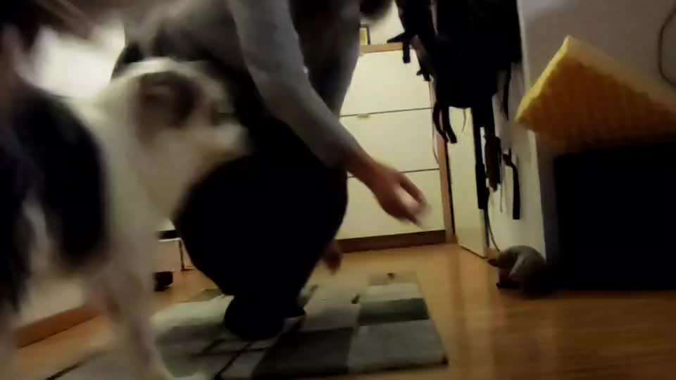 Beim Training völlig unkonzentriert.-Beitrag-Bild