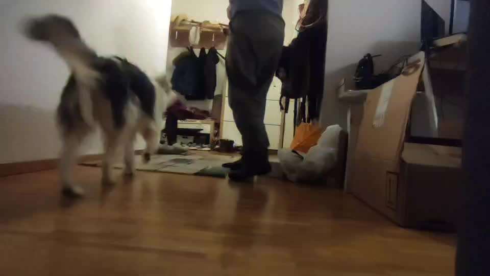 Koffer Packen: Spezial Weihnachtsedition-Beitrag-Bild