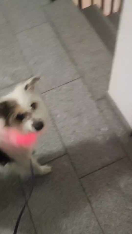 28.Imulskontrollübung             ,,Fahrstuhl fahren ,,-Beitrag-Bild