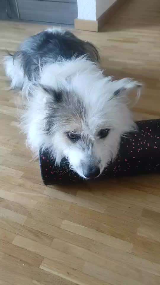 Trick- Challenge Nr. 31 ,Schieben‘-Beitrag-Bild