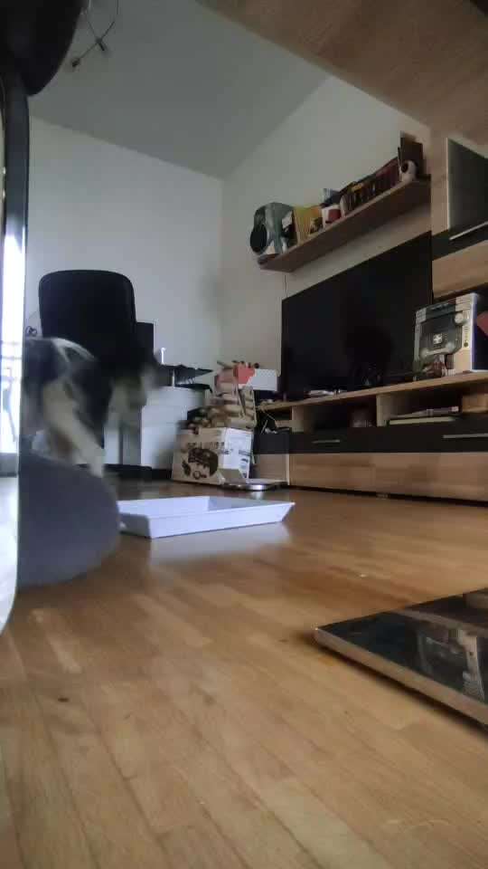 Trick-Challenge Nr.26 Quetschen-Beitrag-Bild