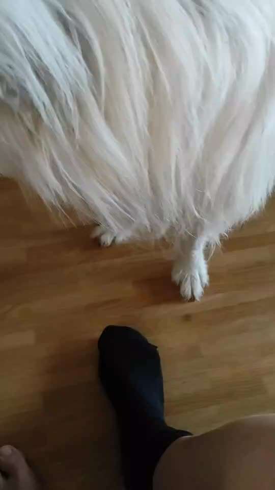 Trick Challenge Nr 27: Socken ausziehen-Beitrag-Bild