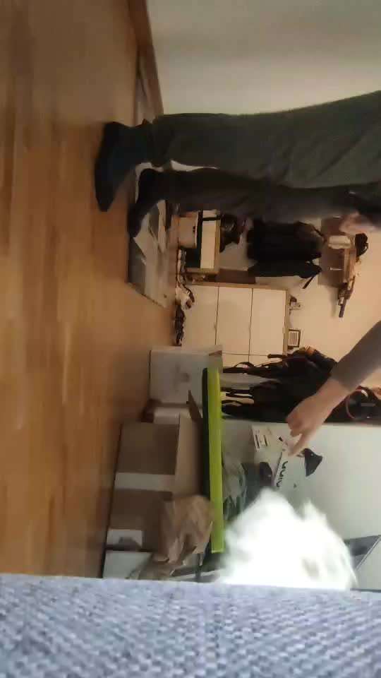 41.Gemeinsames Tricktraining Humpel/ auf drei beine laufen-Beitrag-Bild