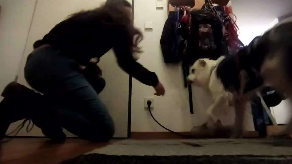 Trick Challenge ABC-Beitrag-Bild