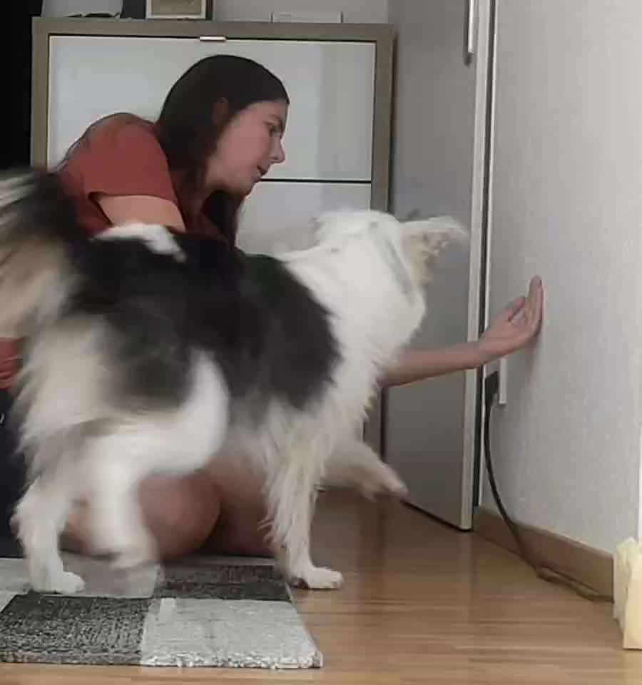 Trick Callenge Nr. 17-Beitrag-Bild